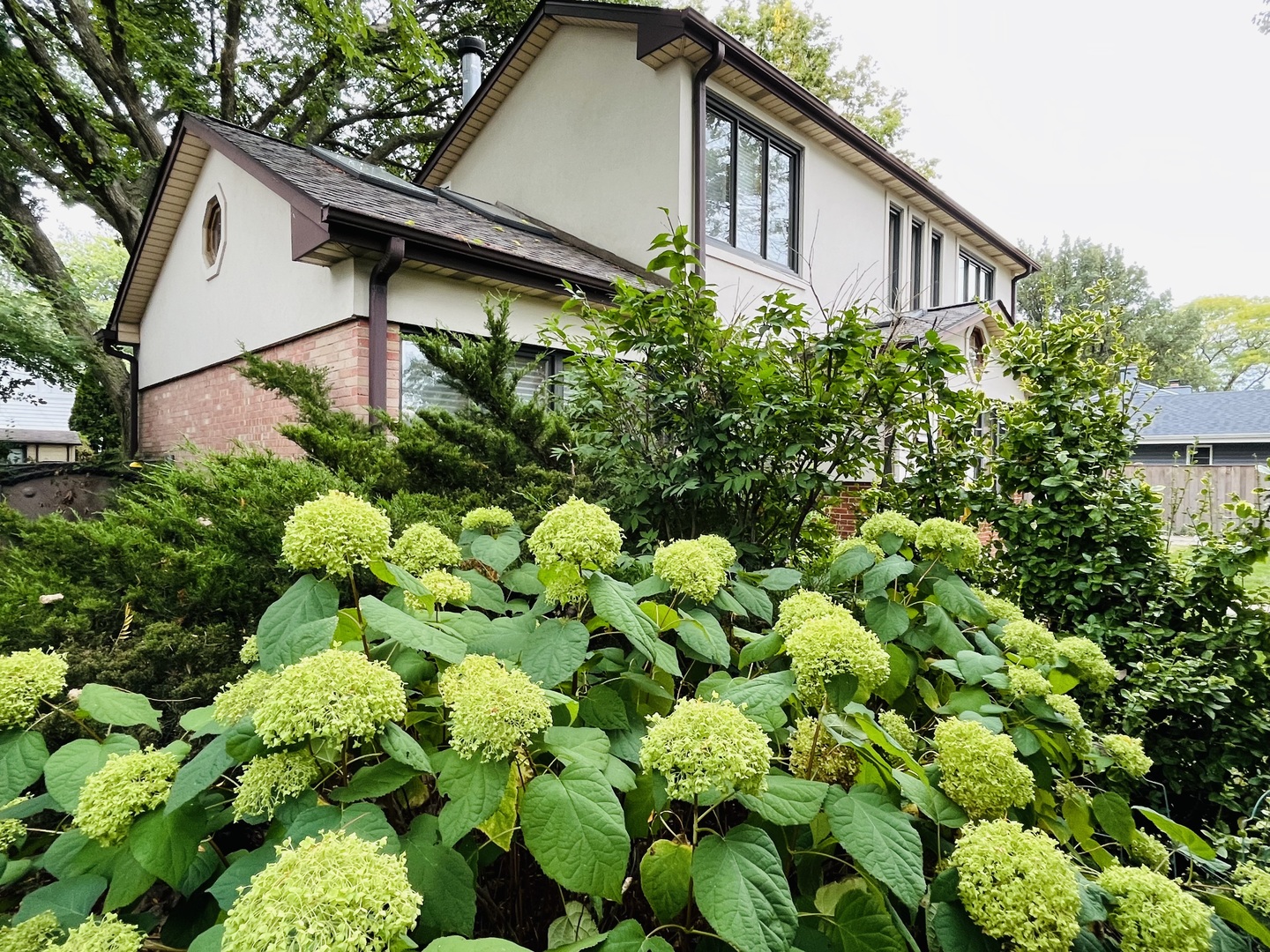 1715 S Greenwood Avenue, Park Ridge, IL 60068