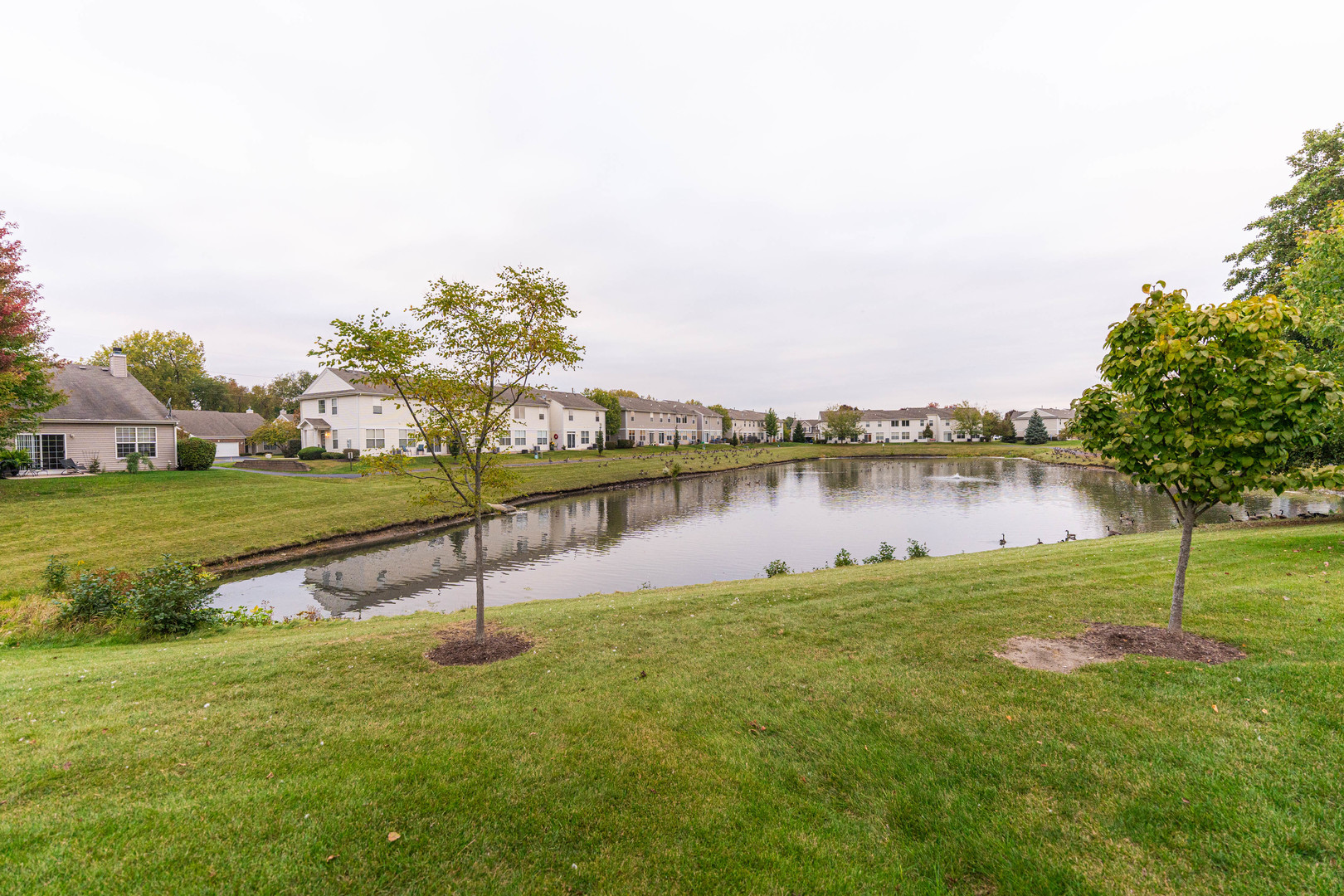 1435 Cambria Drive, DeKalb, IL 60115