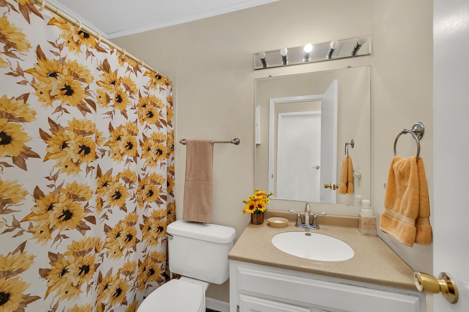 203 W Birchwood Drive #5, Romeoville, IL 60446