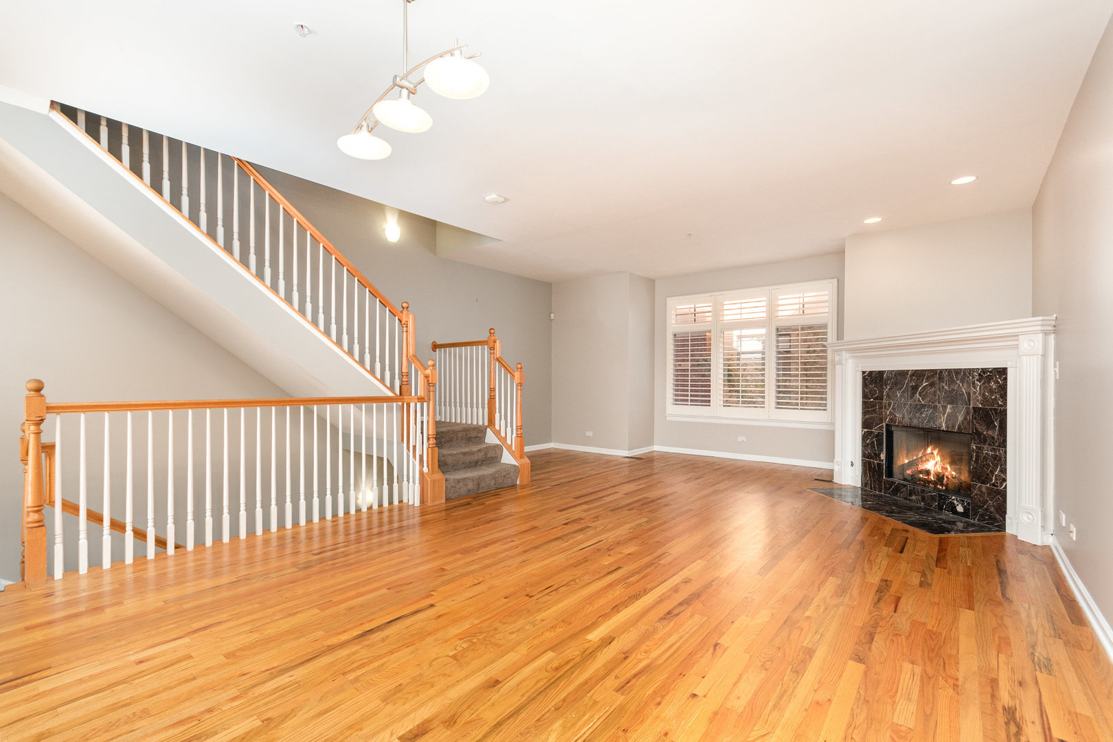 1022 Alexander Lane, Oak Park, IL 60302