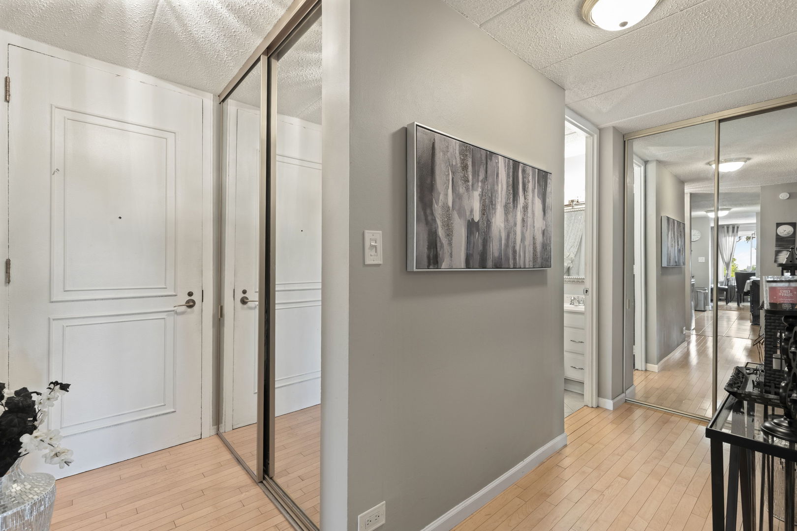 18 E Old Willow Road #210N, Prospect Heights, IL 60070