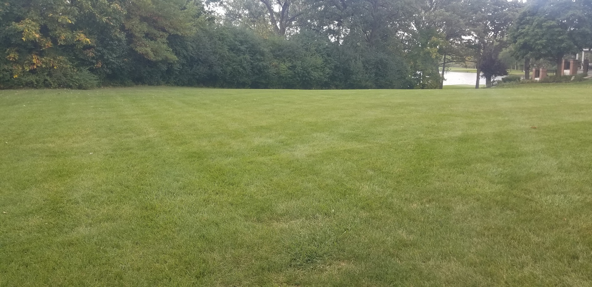 156 N Wynstone Lot C-20 Drive, Barrington, IL 60010