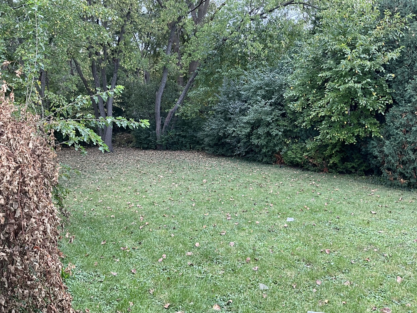 915 Mayfield Drive, Round Lake Beach, IL 60073