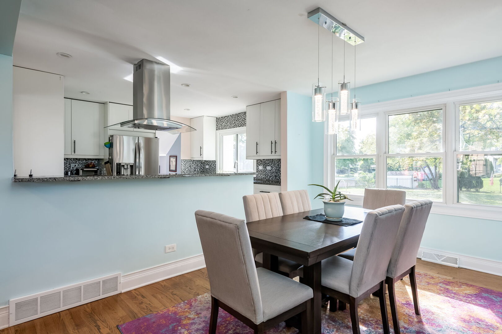 522 E Park Manor Court, Elmhurst, IL 60126