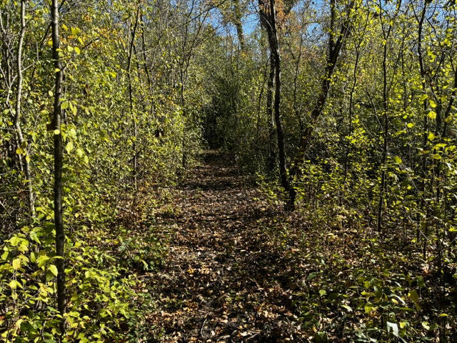 23976 W Beach Grove Road, Antioch, IL 60002