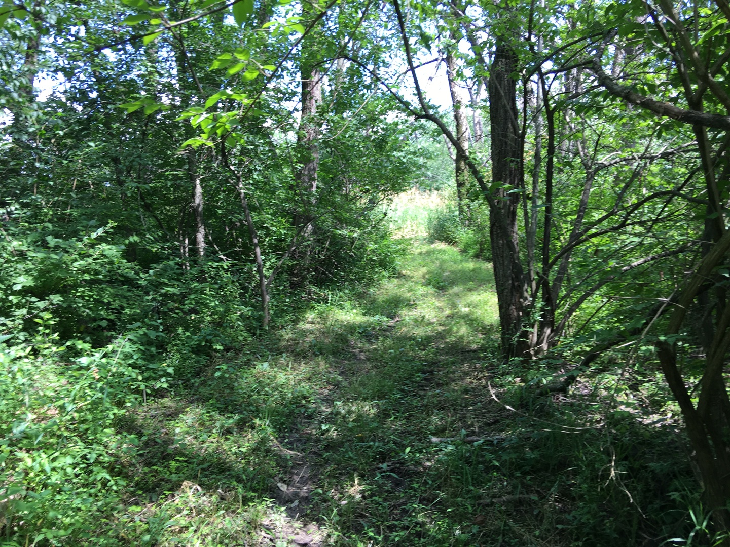 Oak Meadow Lot 3 Hadley Road, Homer Glen, IL 60491