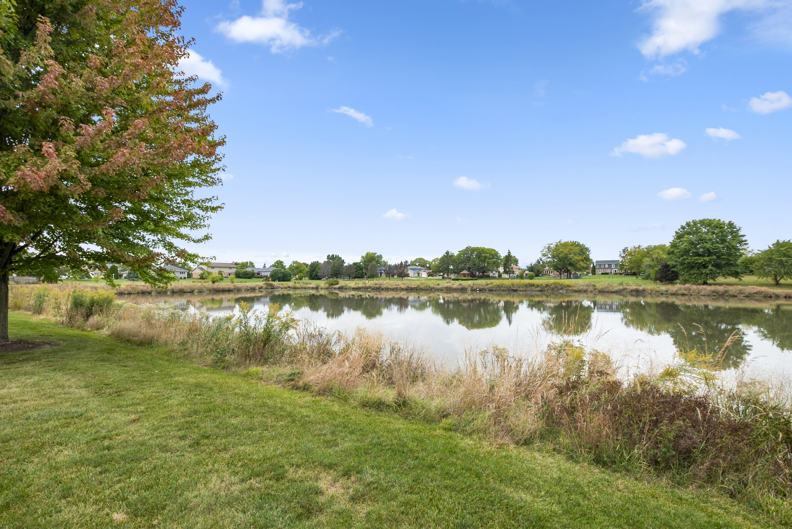 8824 Carnoustie Drive, Orland Park, IL 60462