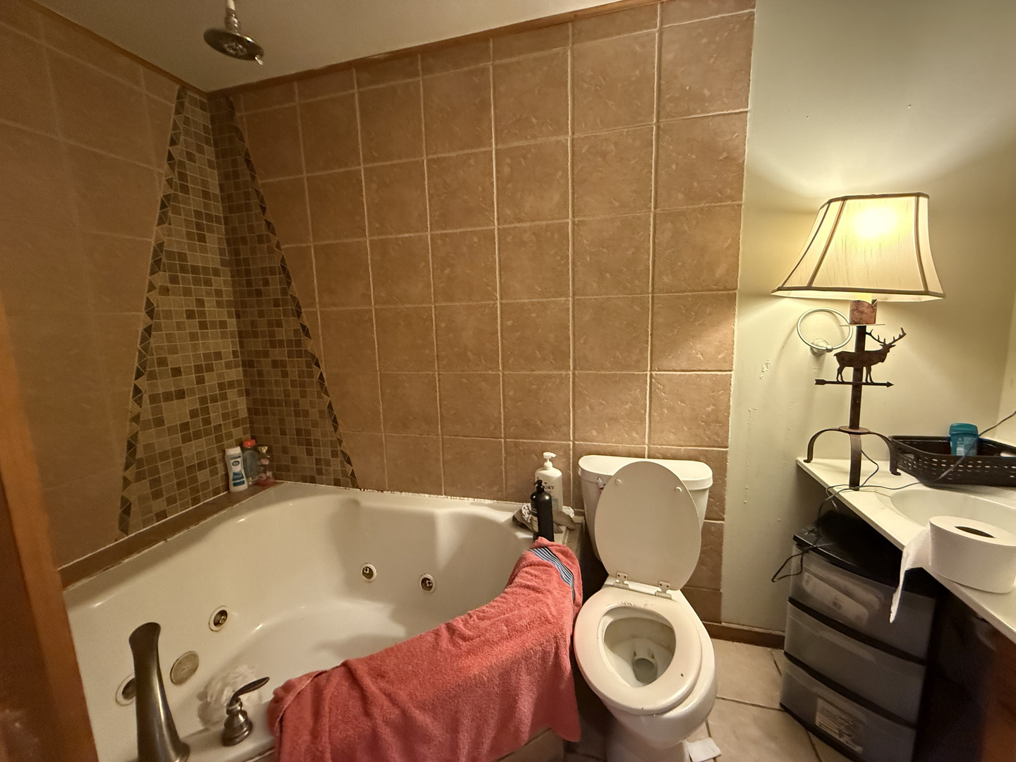 1021 Briarcliff Drive, Rantoul, IL 61866