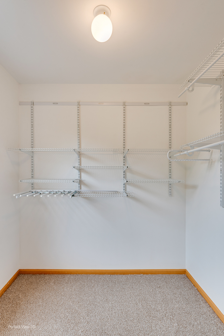 21334 W Edison Lane, Plainfield, IL 60544