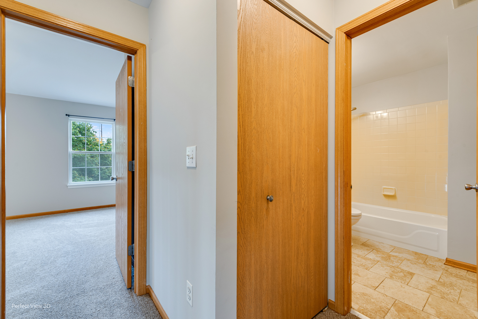 21334 W Edison Lane, Plainfield, IL 60544