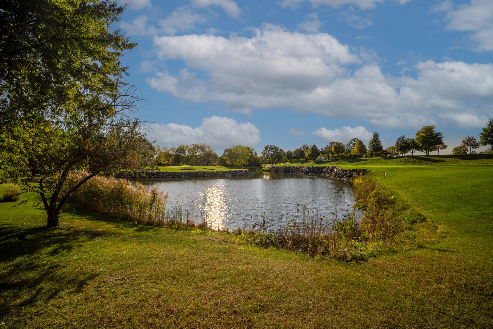 1688 Saint Andrew Drive, Vernon Hills, IL 60061