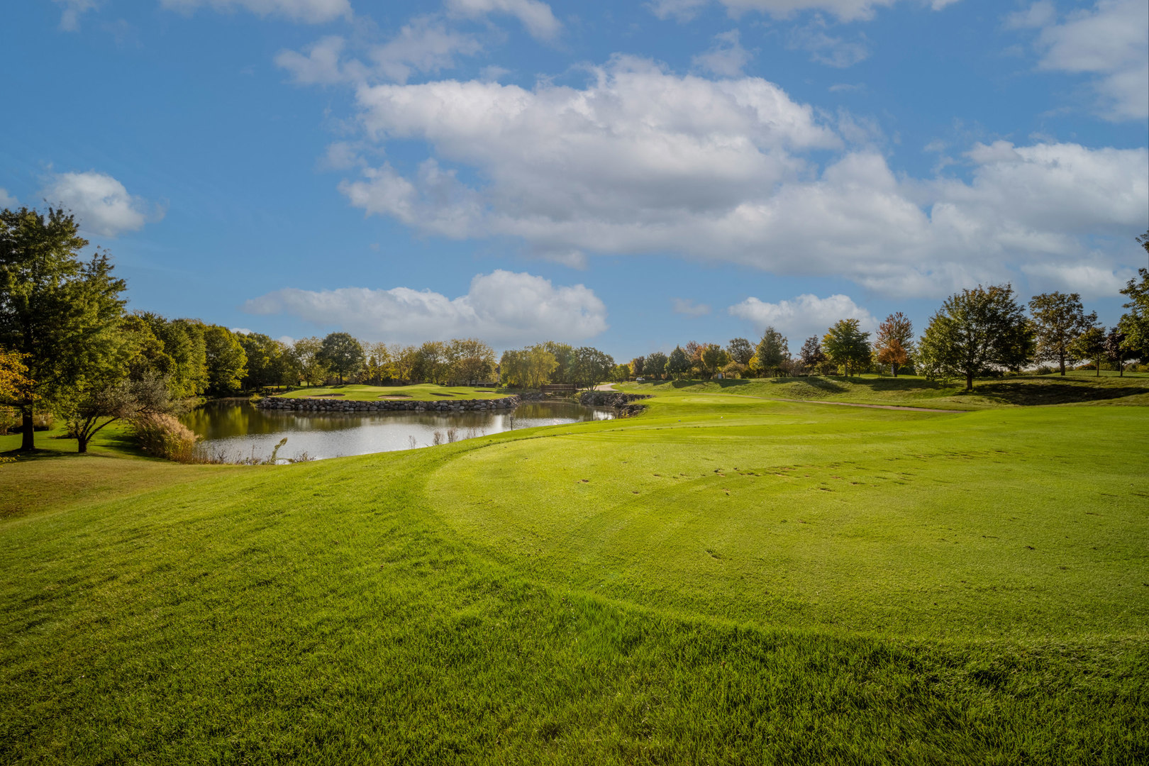 1688 Saint Andrew Drive, Vernon Hills, IL 60061