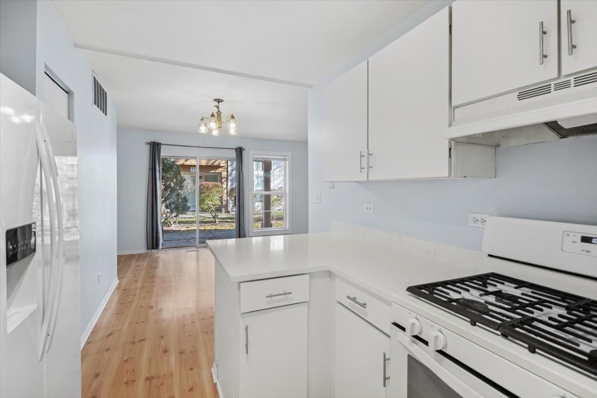 120 N Cathy Lane #120, Mount Prospect, IL 60056