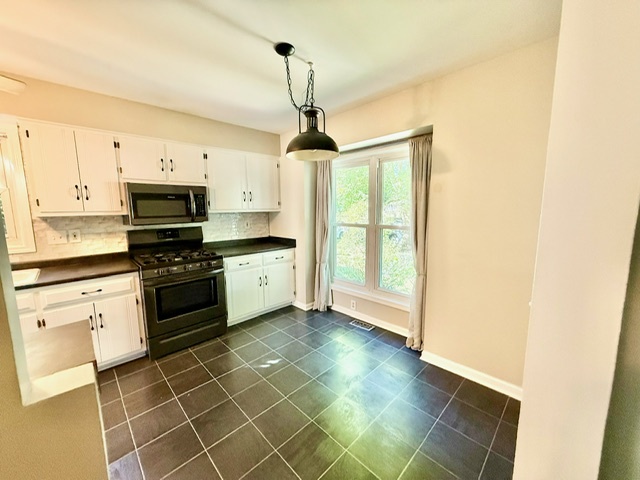 924 Britta Lane, Geneva, IL 60134
