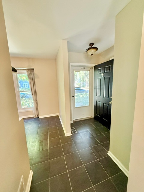 924 Britta Lane, Geneva, IL 60134