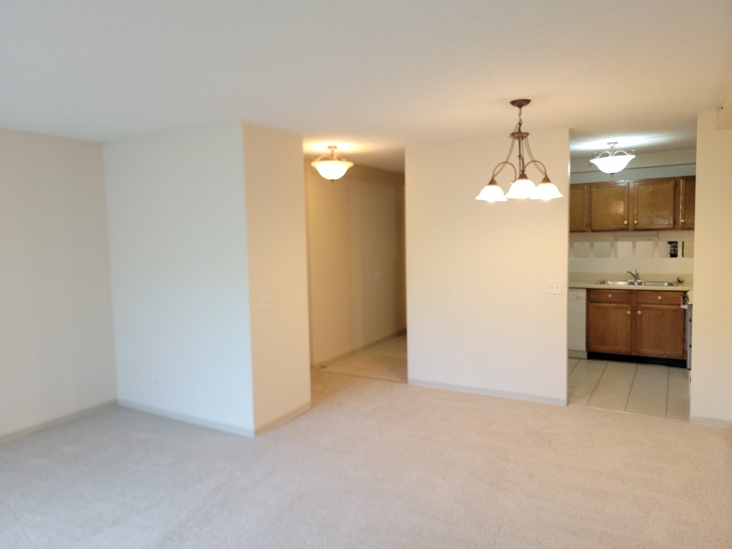1800 Huntington Boulevard #AE615, Hoffman Estates, IL 60169