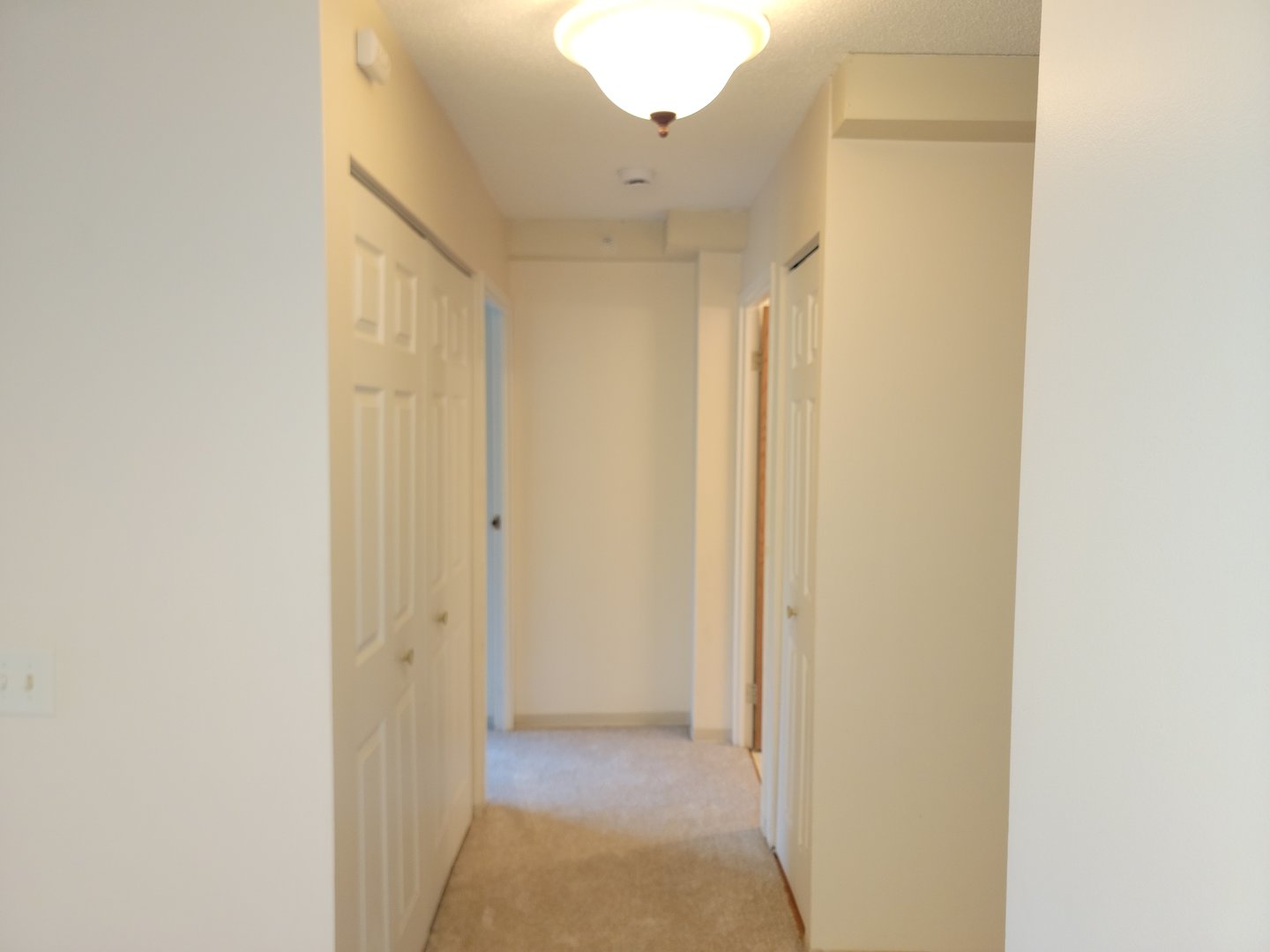1800 Huntington Boulevard #AE615, Hoffman Estates, IL 60169