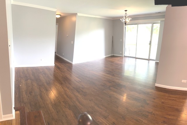 181 BROOK Lane #181, Vernon Hills, IL 60061