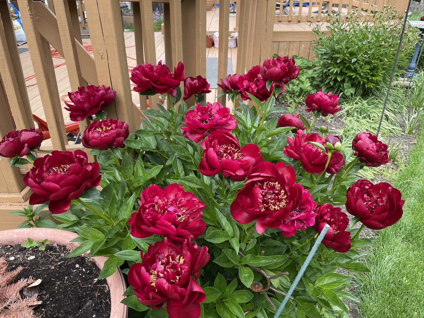 2642 Sagamore Circle, Aurora, IL 60503