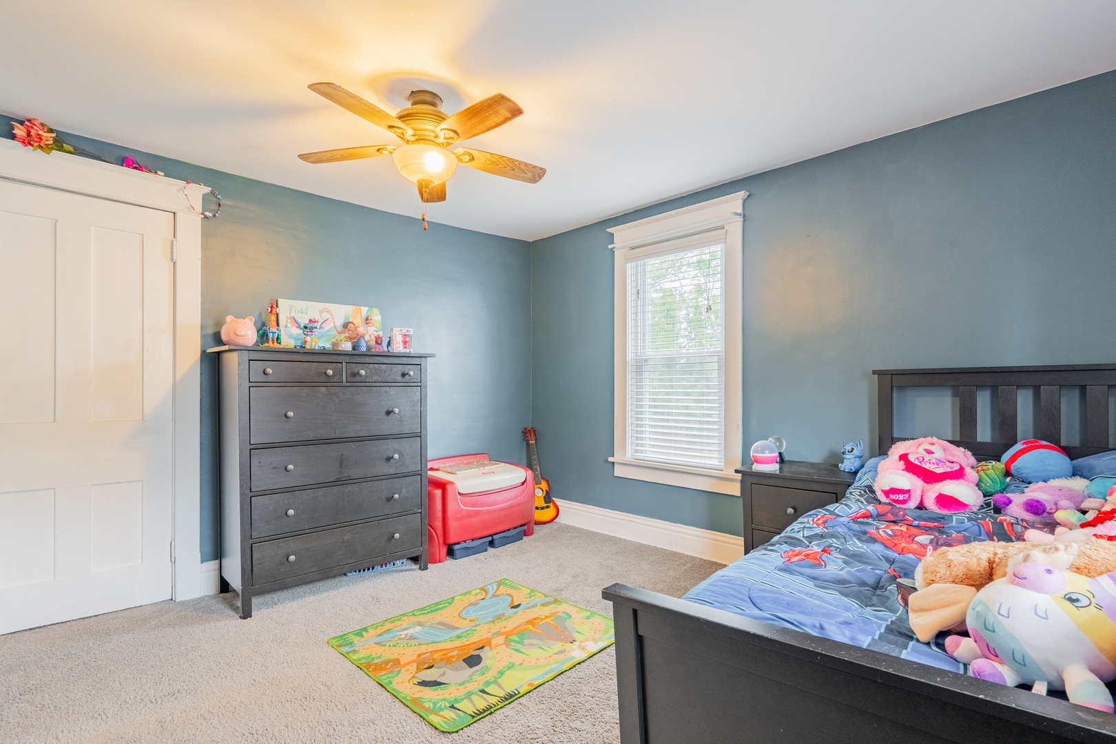 310 S Pleasant Street, Princeton, IL 61356