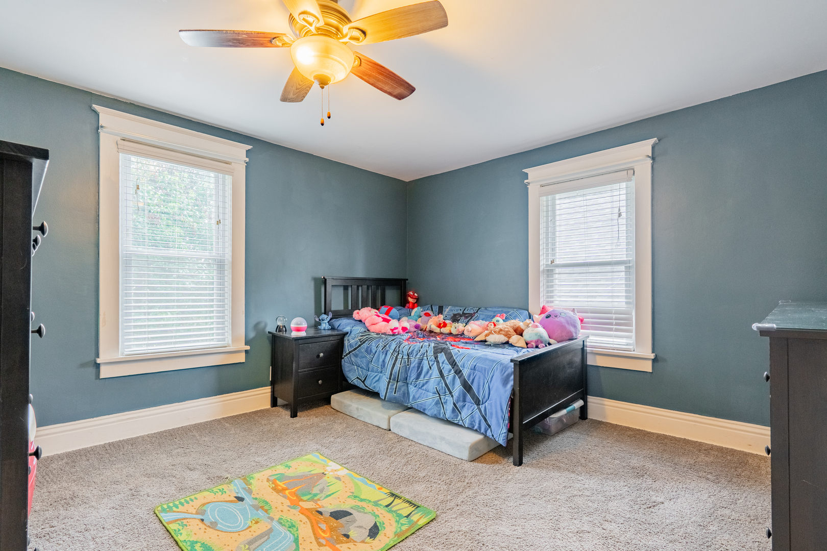 310 S Pleasant Street, Princeton, IL 61356