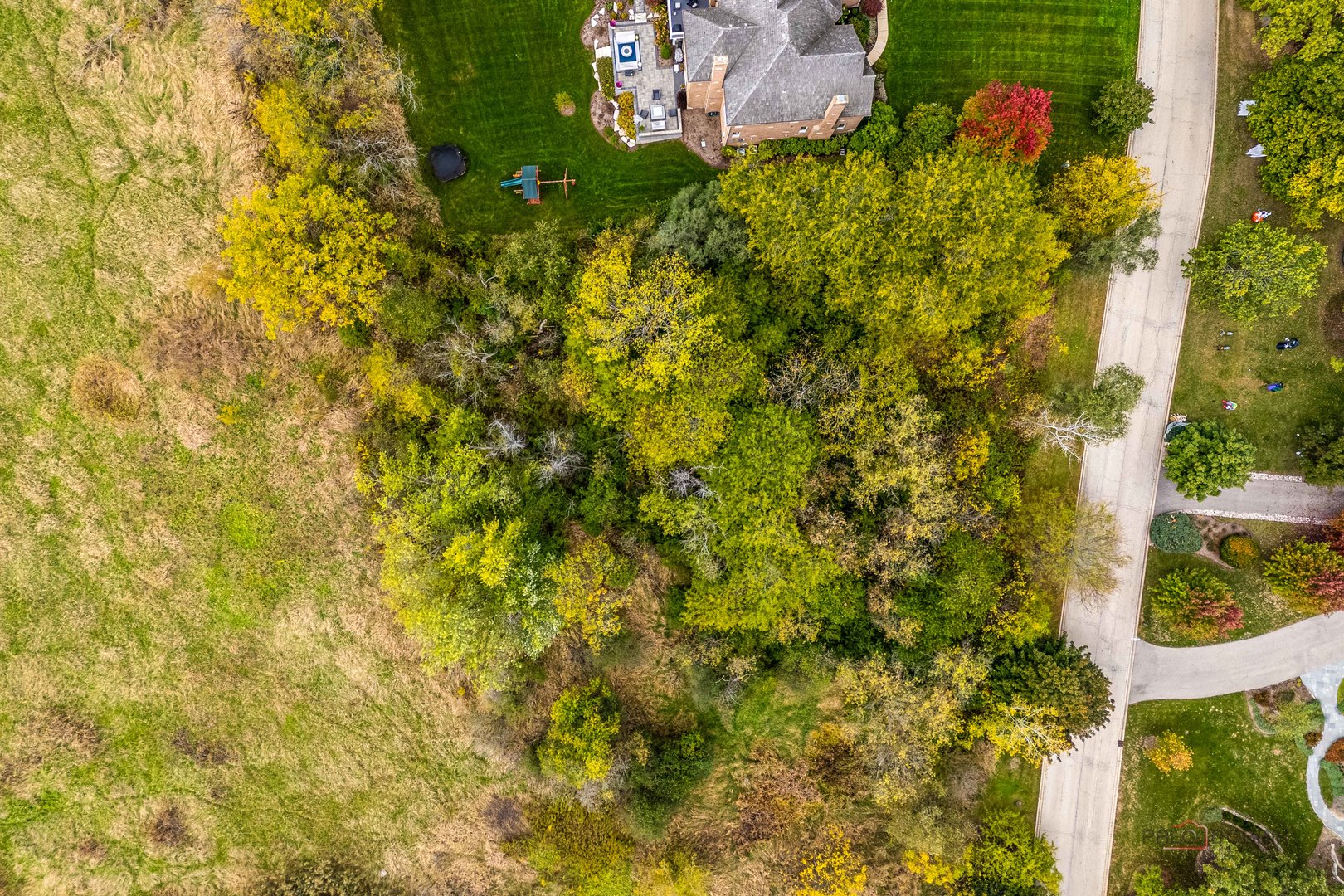 21693 N Tall Oaks Drive, Kildeer, IL 60047