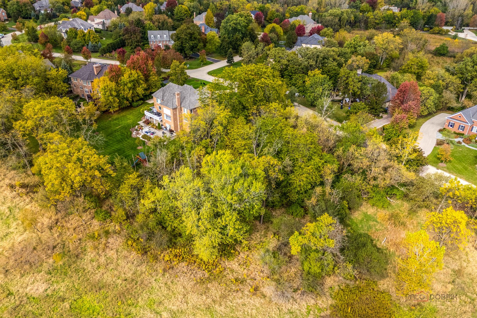 21693 N Tall Oaks Drive, Kildeer, IL 60047