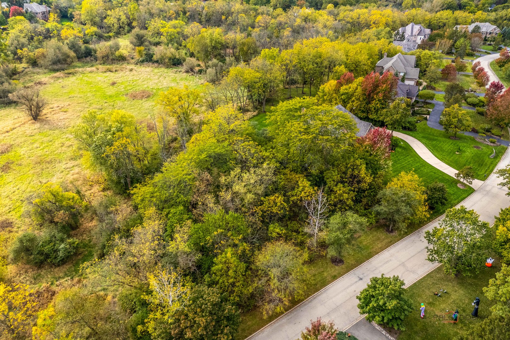 21693 N Tall Oaks Drive, Kildeer, IL 60047