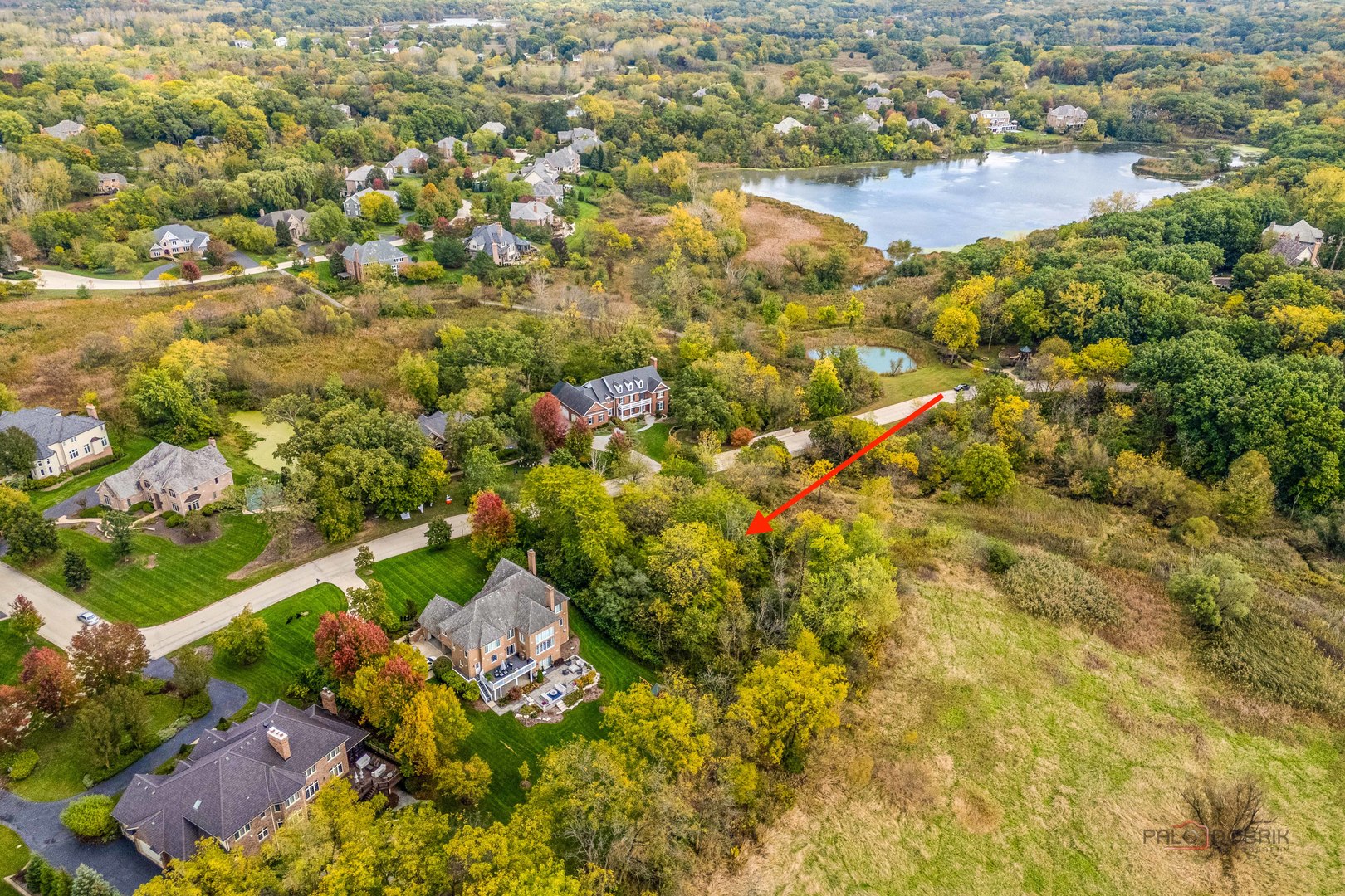 21693 N Tall Oaks Drive, Kildeer, IL 60047