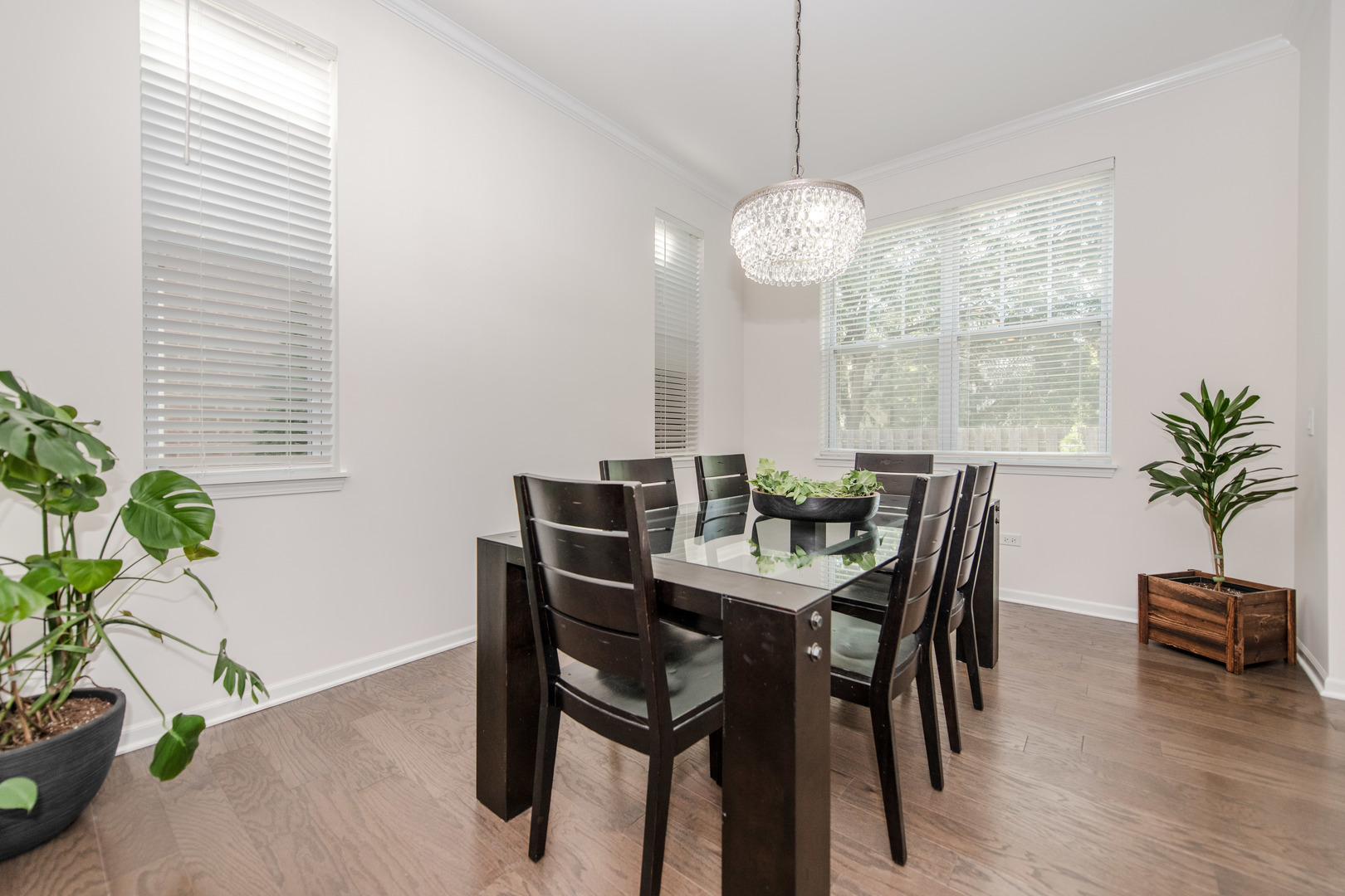 456 Timber Trail Court, Naperville, IL 60565