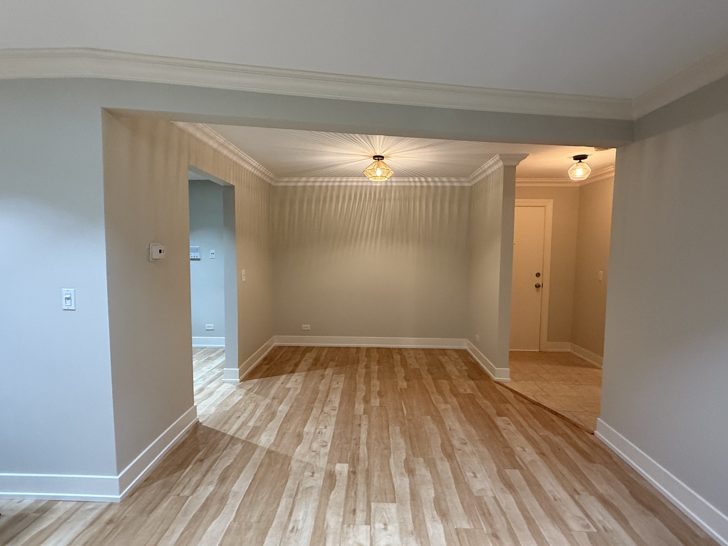 531 Carlysle Drive #9, Clarendon Hills, IL 60514