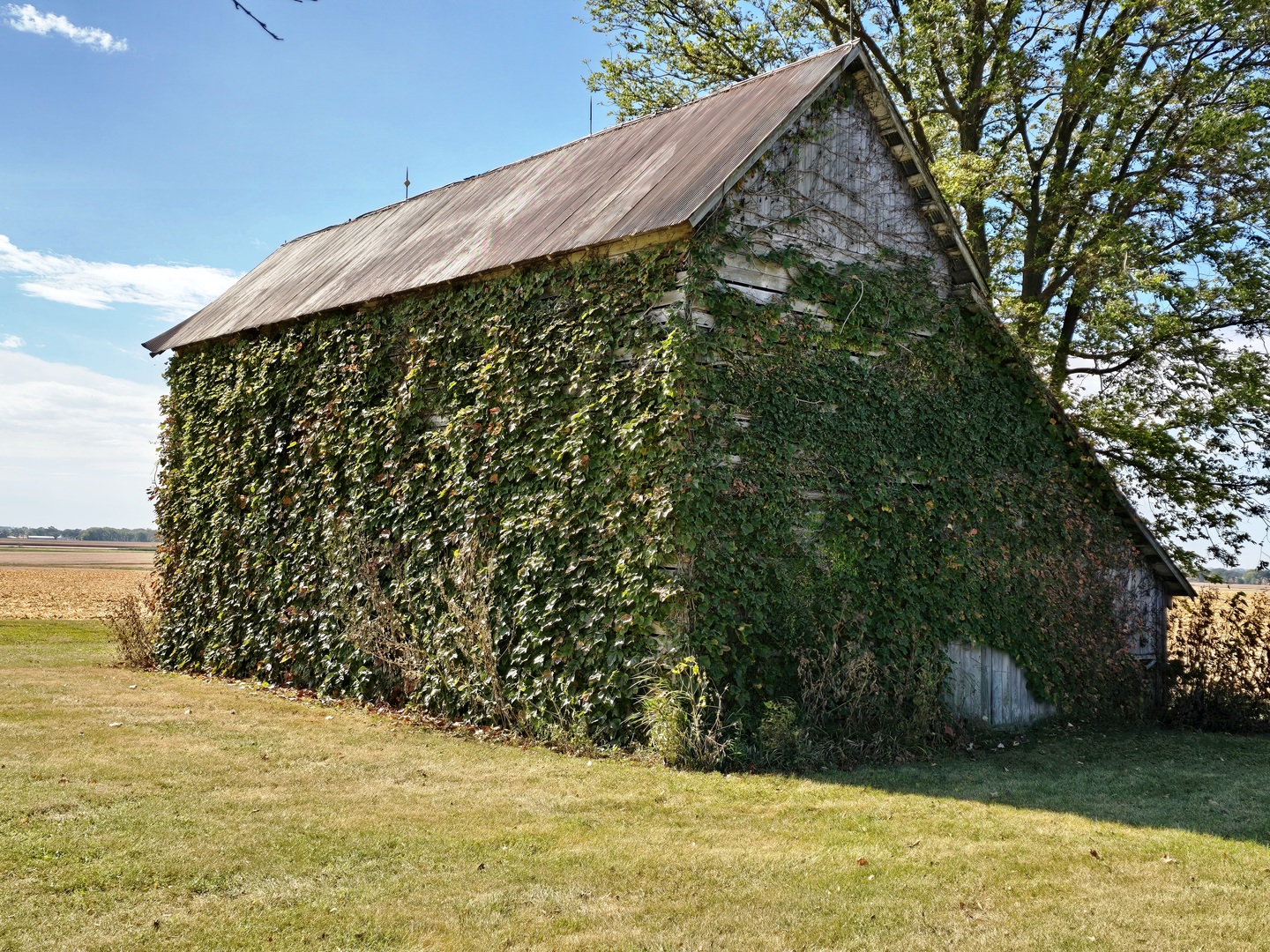 7691 N 3000 Road, Chatsworth, IL 60921