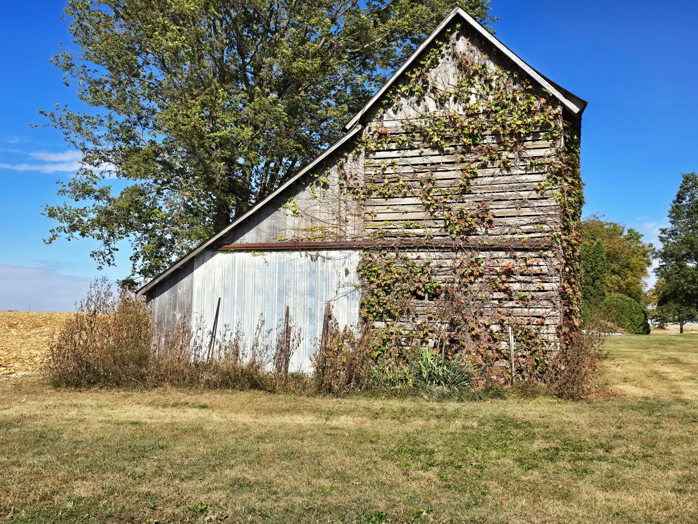 7691 N 3000 Road, Chatsworth, IL 60921