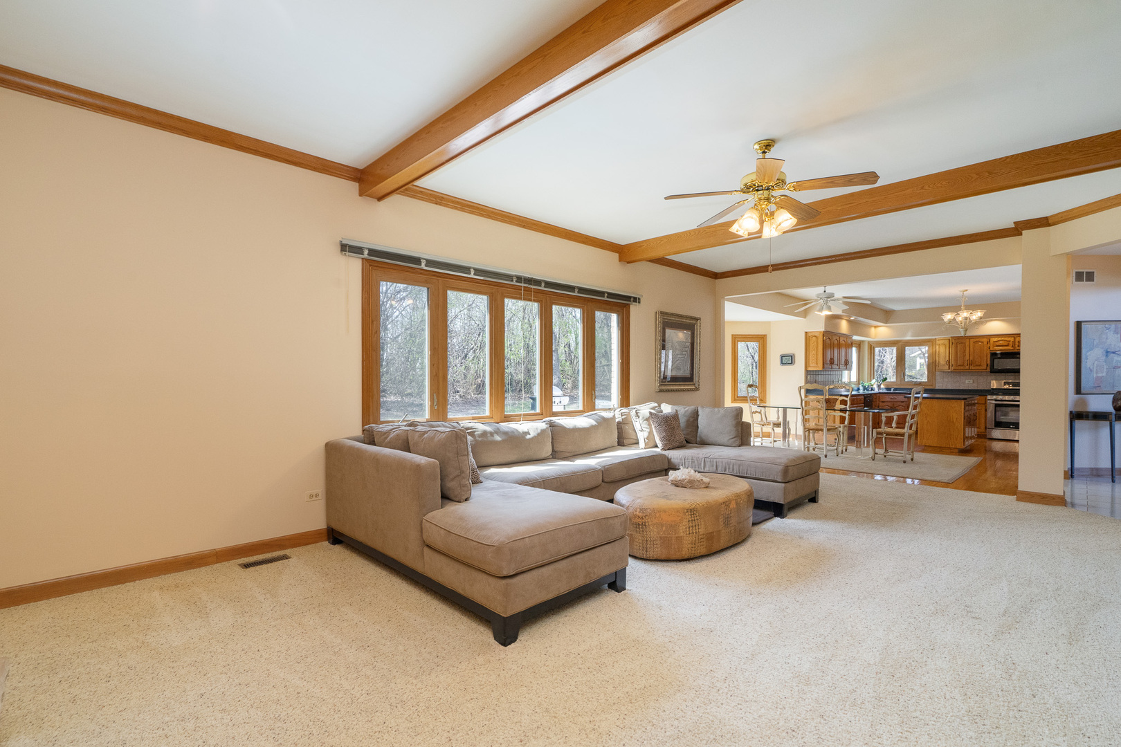 15328 Sharon Drive, Homer Glen, IL 60491