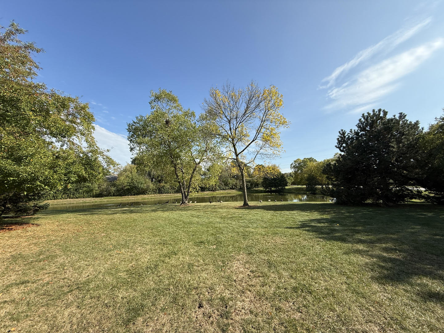 6720 E Monticello Court #14-A1, Gurnee, IL 60031