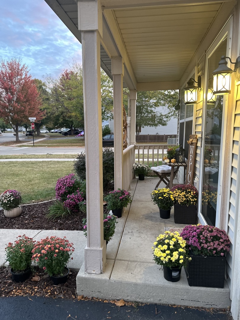 351 Richmond Drive, Romeoville, IL 60446