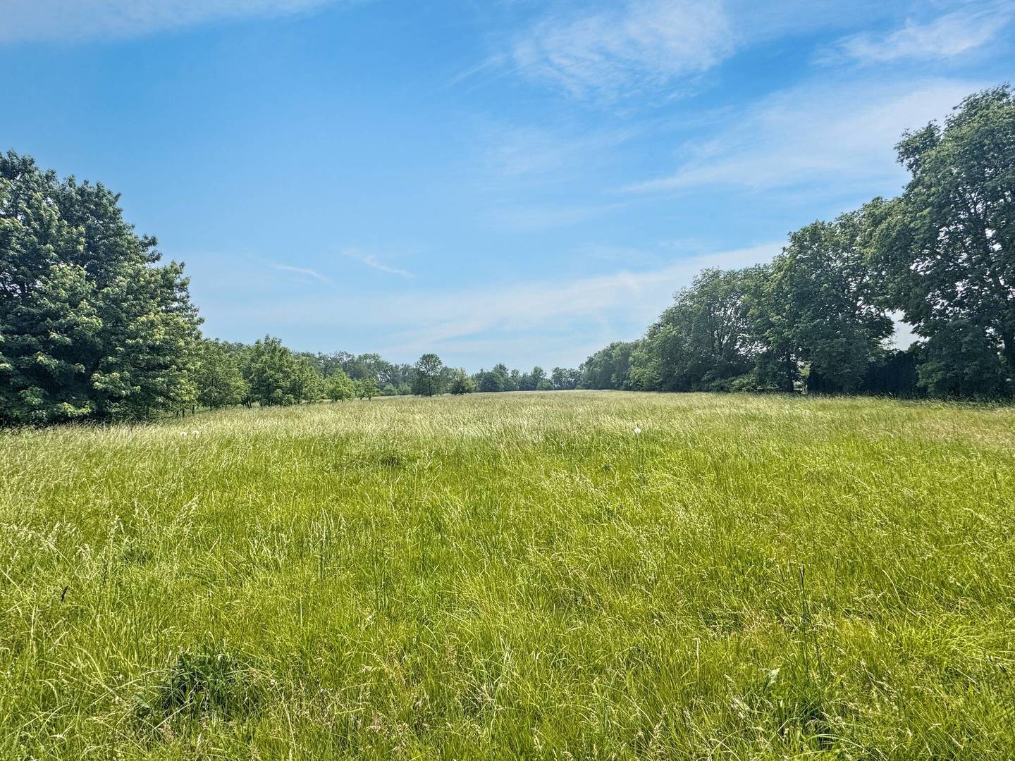 1204 W Reynolds Street, Pontiac, IL 61764