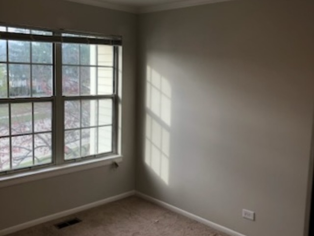 612 Newbury Lane, Schaumburg, IL 60173