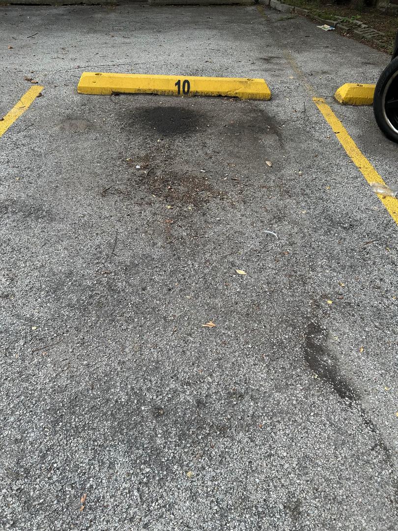 8847 La Crosse Avenue #204, Skokie, IL 60077