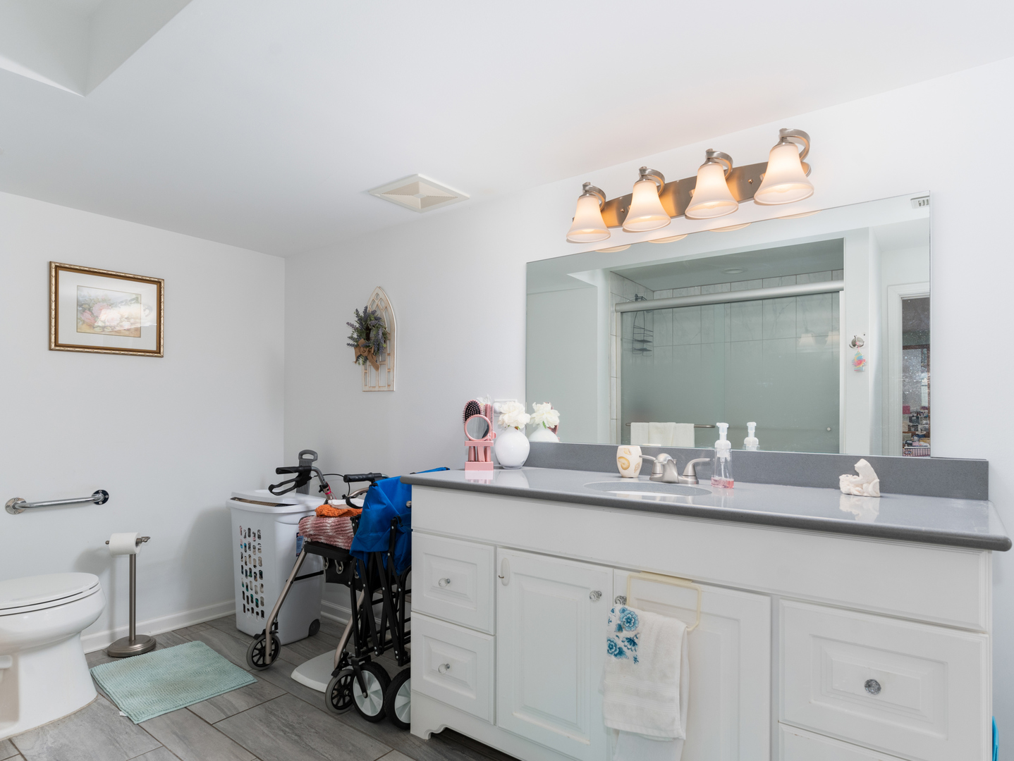 804 Deerpath Lane, Elwood, IL 60421