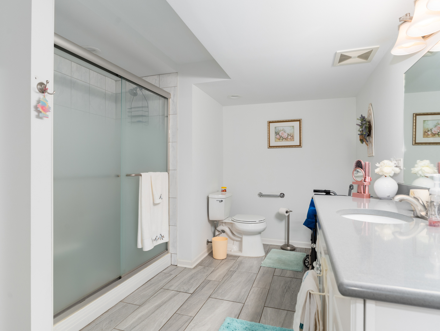 804 Deerpath Lane, Elwood, IL 60421