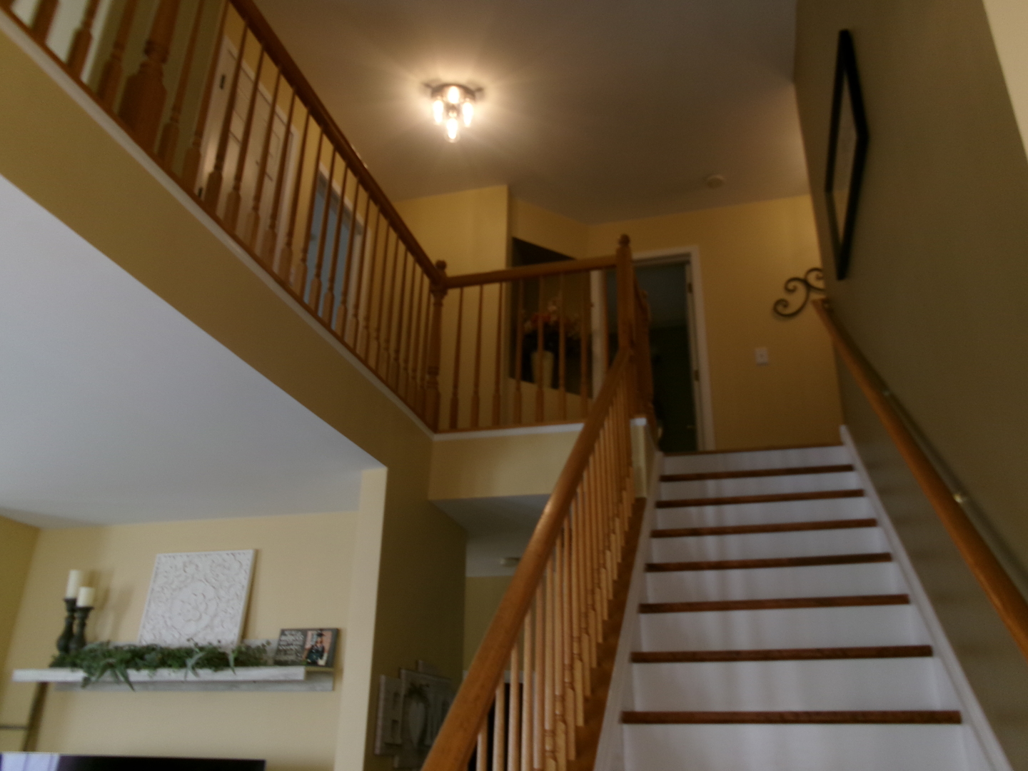 1433 White Pine Lane, Bolingbrook, IL 60490