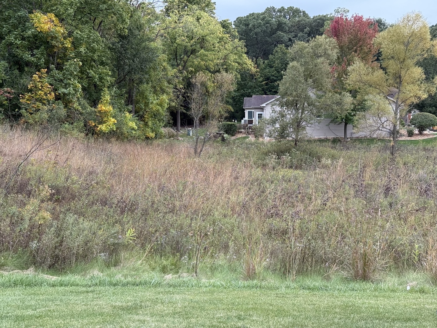 17213 Mendota Drive, Lockport, IL 60441