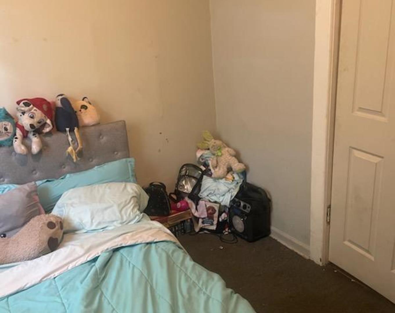 219 E 136th Street, Chicago, IL 60827