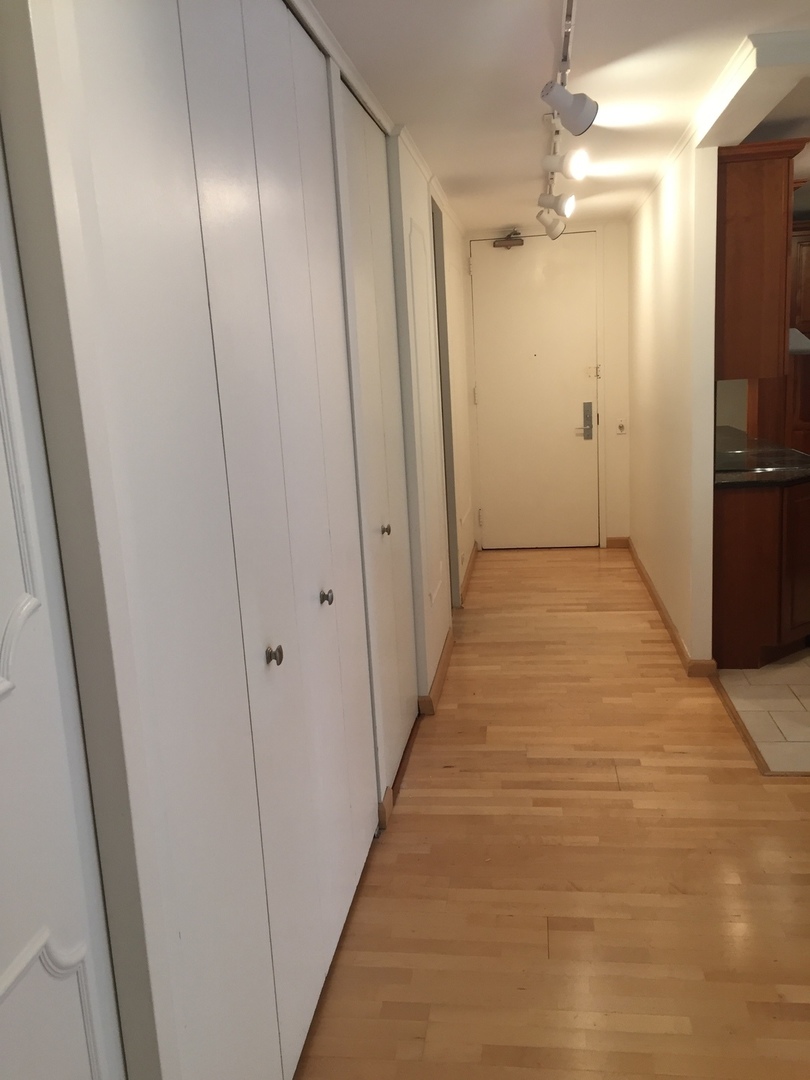 200 E Delaware Place #5D, Chicago, IL 60611