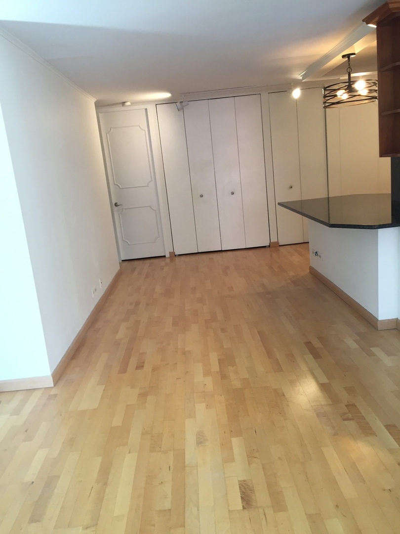 200 E Delaware Place #5D, Chicago, IL 60611