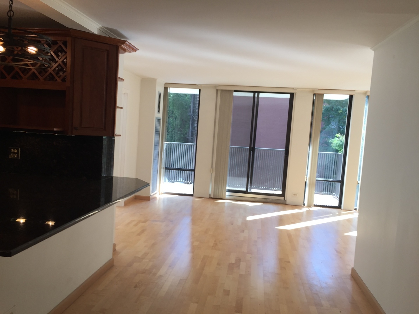 200 E Delaware Place #5D, Chicago, IL 60611