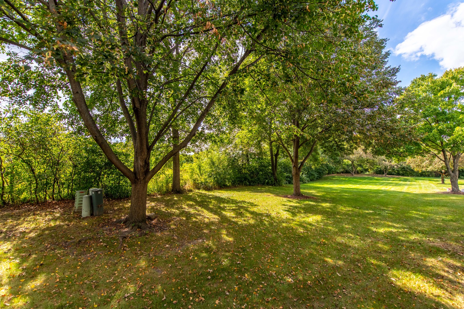 23127 Judith Court, Plainfield, IL 60586