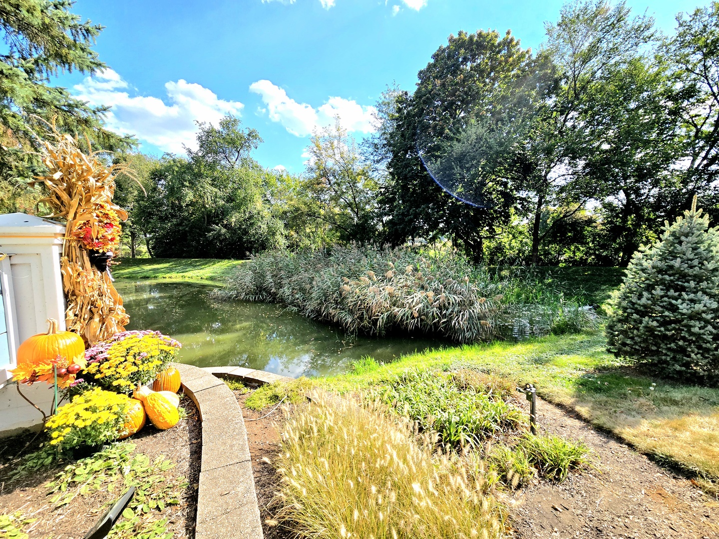 1736 Brookwood Road, Lisle, IL 60532