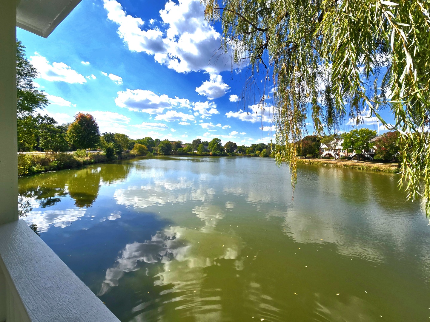 1736 Brookwood Road, Lisle, IL 60532